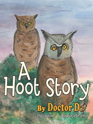 cover image of A Hoot Story